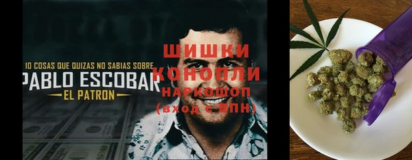 индика Зерноград