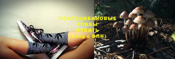 ALPHA PVP Беломорск