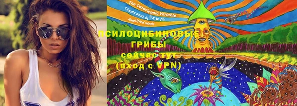 ALPHA PVP Беломорск