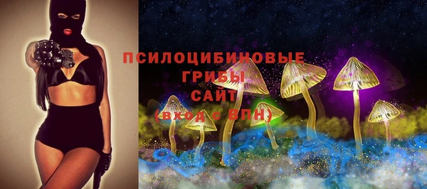 прущая мука Белокуриха