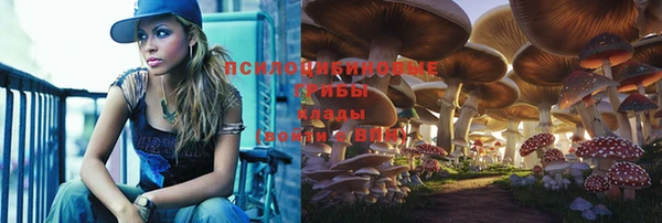 прущая мука Белокуриха